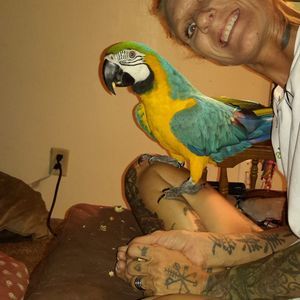 Meet your Posher, De